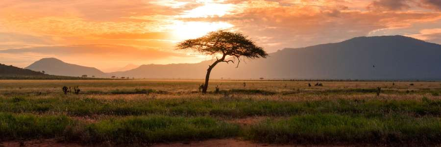 Oyetunde's cover image